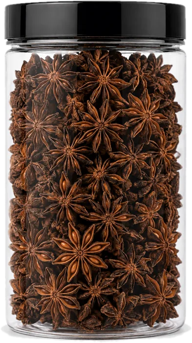 Bibhakar Idukki star anise jar, second view